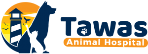 Tawas Animal Hospital